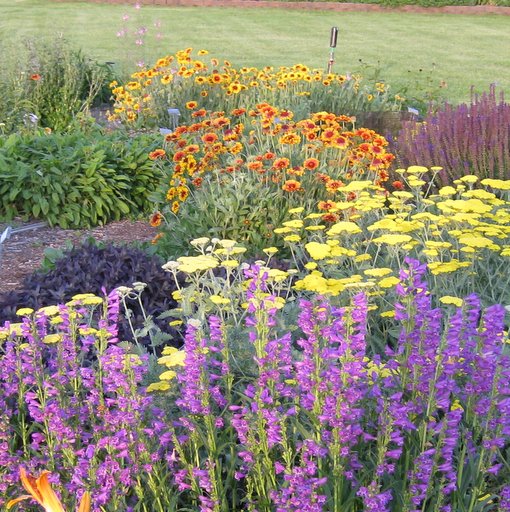 Sun Garden Collection Medium